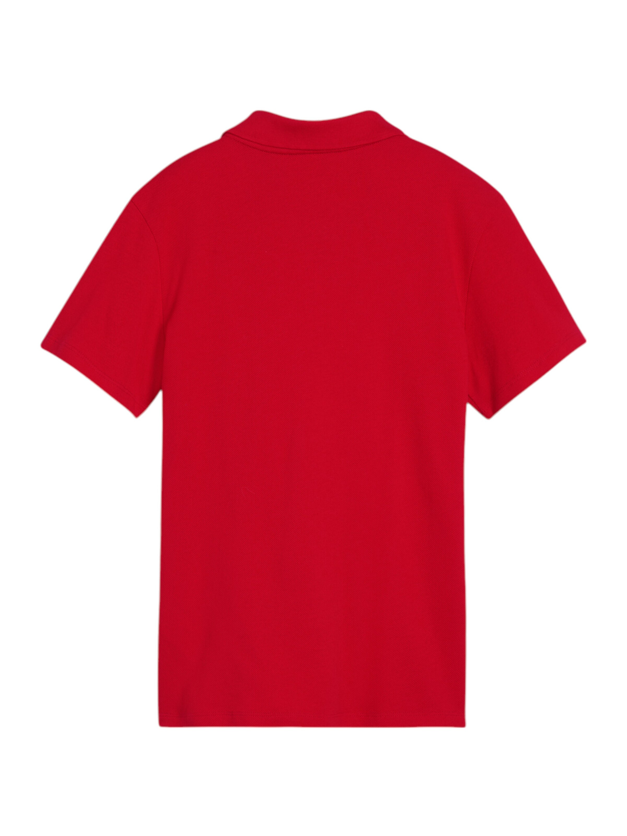 PUMA Performance Shirt 'TeamGoal' in Red