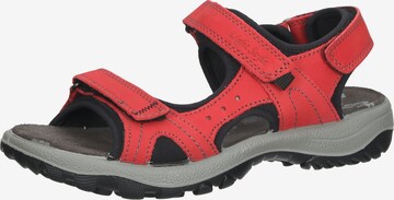 IMAC Sandals in Red: front