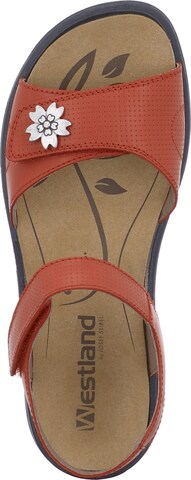 Westland Sandals 'IBIZA' in Red