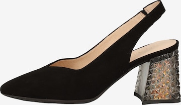 Wonders Slingback Pumps in Black