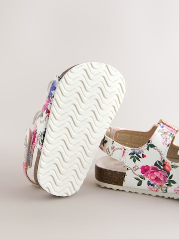 Baker by Ted Baker Sandal i blandade färger