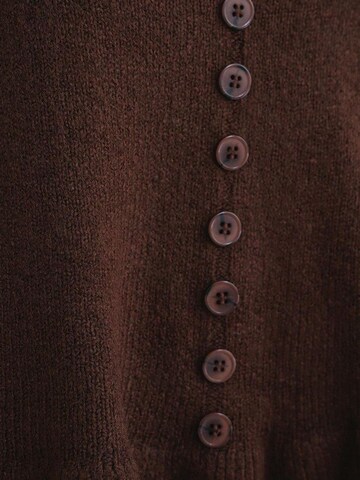 MixRay Pullover 'Pullover'‌‌‌‌ in Braun