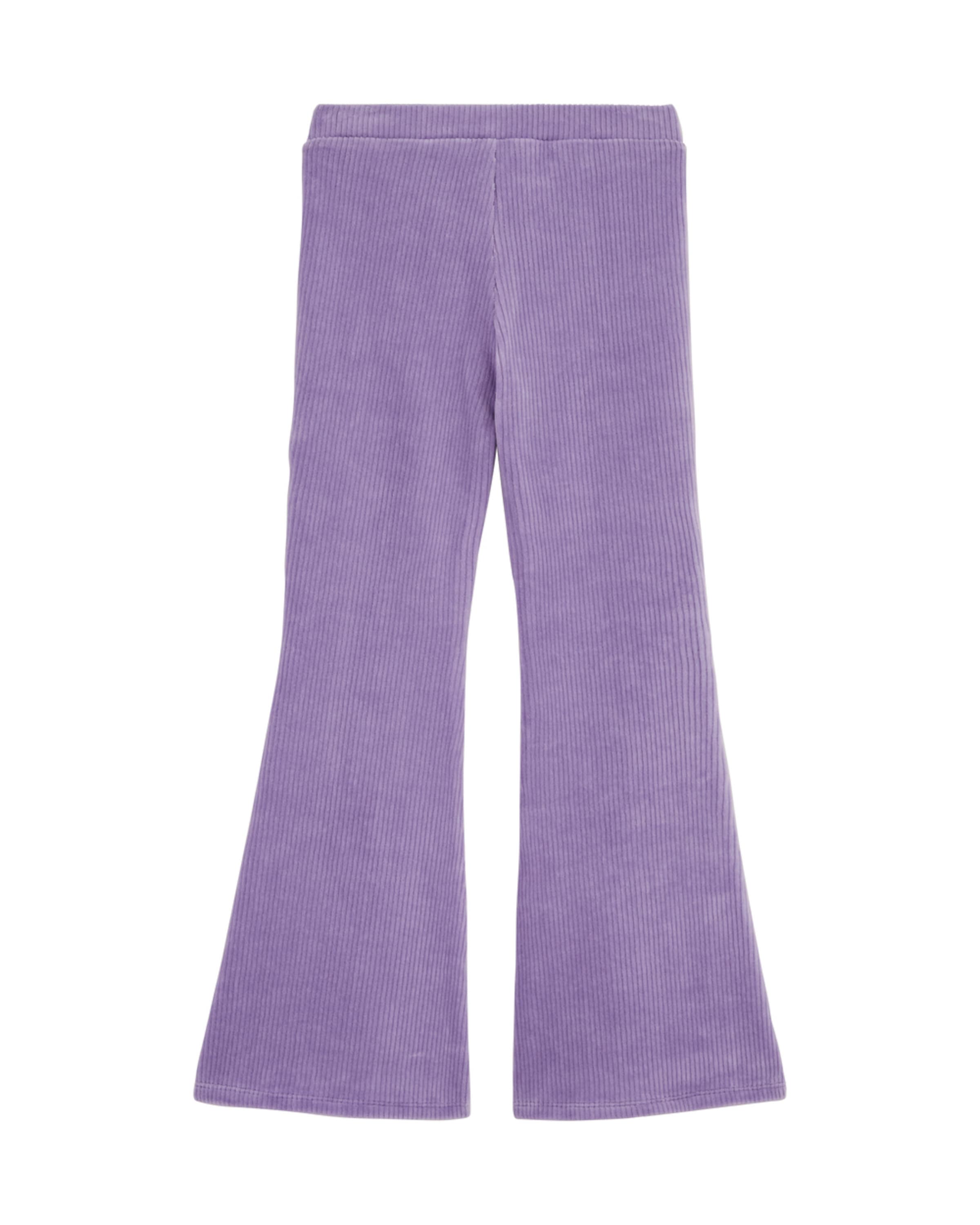 WE Fashion Flared Broek in Lila