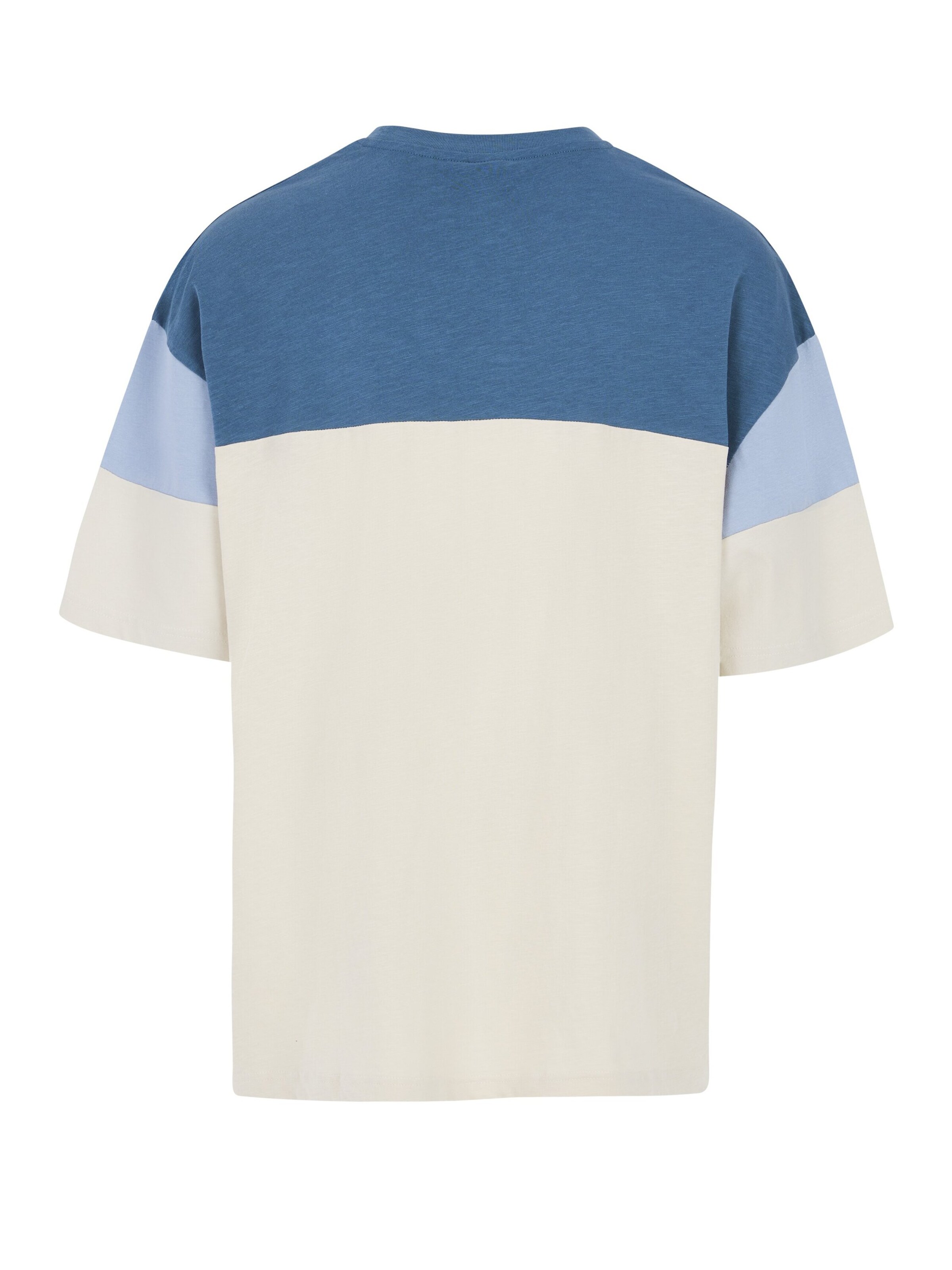 PROTEST Shirt 'PRTDuel'‌‌‌‌‌‌‌‌‌‌ in Blau