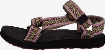 TEVA - Sandálias de trekking 'Original Universal' em verde: frente