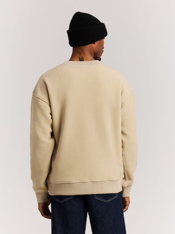 PROTEST Pullover 'PRTHawks'‌‌‌‌‌‌‌‌ in Braun