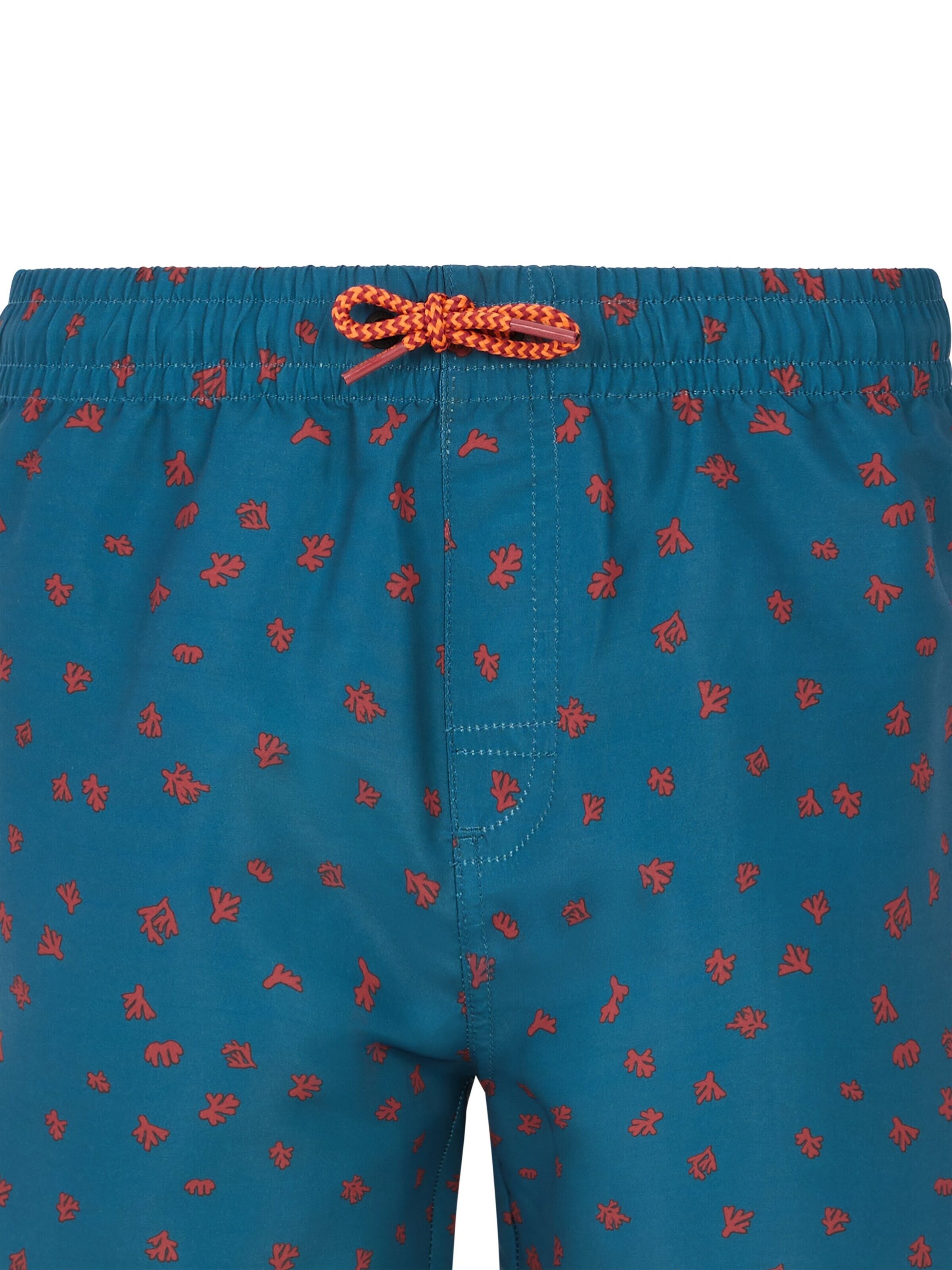 PROTEST Board Shorts 'PRTTyson JR' in Blue