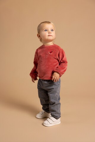 Noppies Regular Trousers in Grey: front