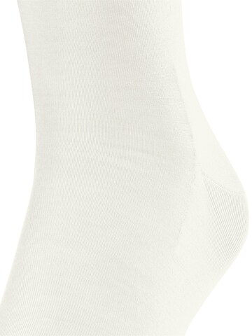FALKE Knee High Socks 'ClimaWool' in White