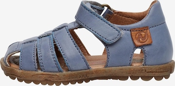 NATURINO Offene Schuhe 'SEE' in Blau: Vorderseite