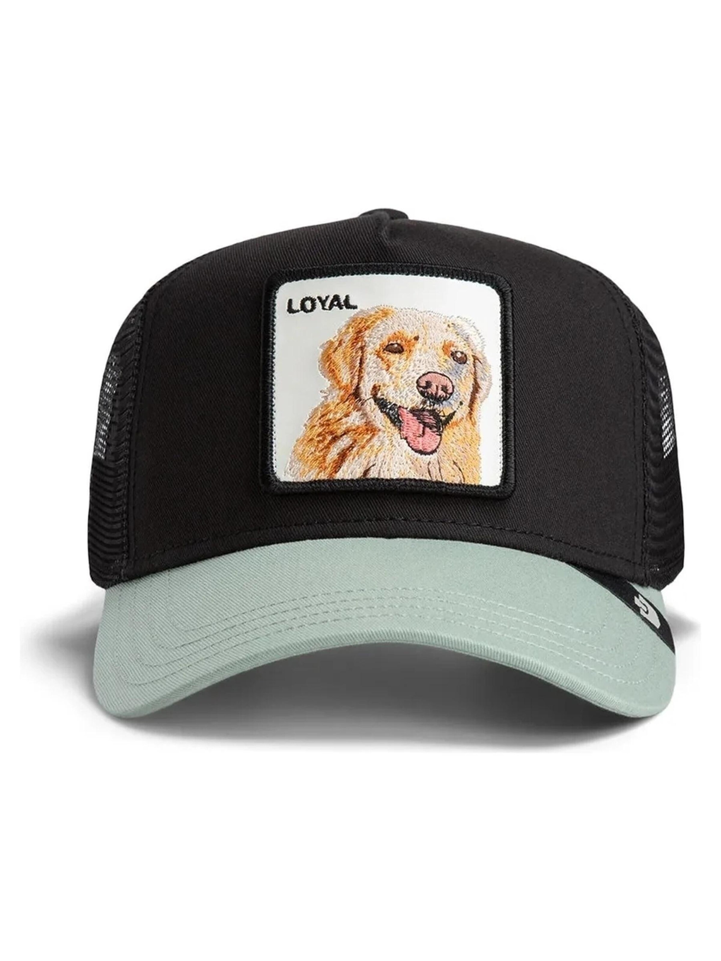 Cappello da baseball 'Gorra goorin negra perro labrador loyal dog trucker cap' di GOORIN Bros. in nero: frontale