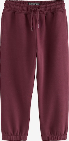 Next Trousers in Purple: front