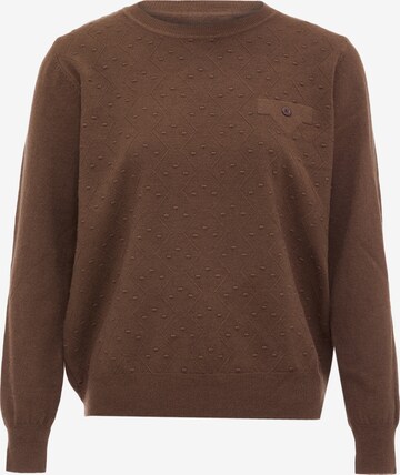 Pull-over LUREA en marron : devant