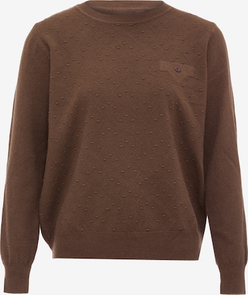 LUREA Sweater in Brown: front