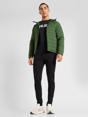 Veste outdoor THE NORTH FACE en vert