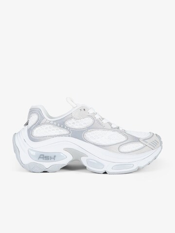 Sneaker bassa 'Dragon' di ASH in bianco