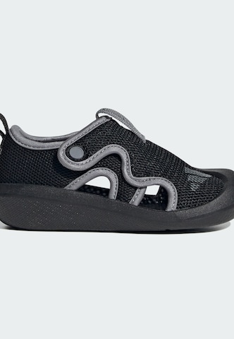 Chaussures ouvertes 'Altaventure 3' ADIDAS SPORTSWEAR en noir
