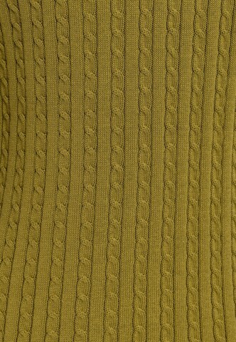 Felix Hardy Pullover in Grün