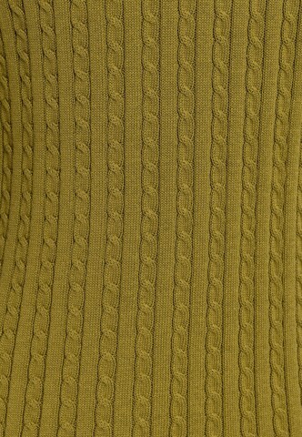 Felix Hardy Pullover in Grün