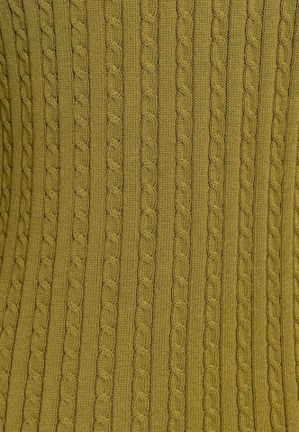 Felix Hardy Pullover in Grün