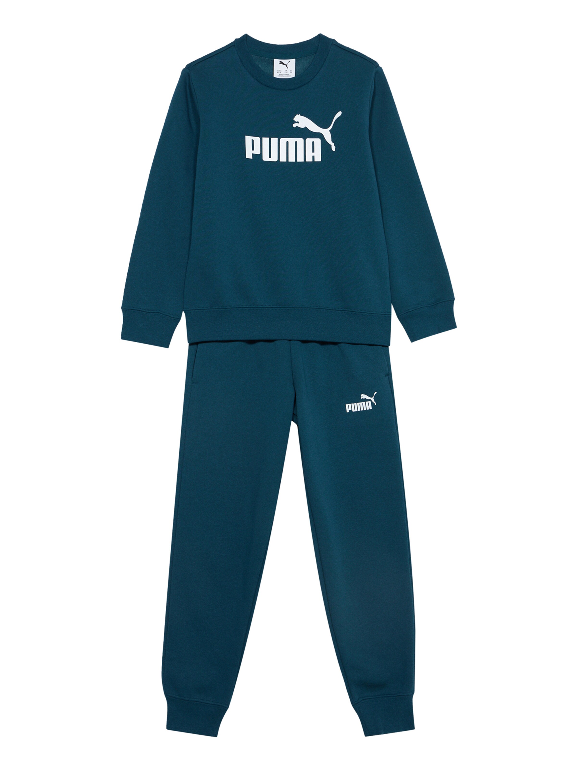 PUMA Jogginganzug 'ESS No.1' in Grün: Vorderseite