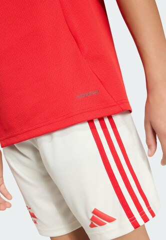 ADIDAS PERFORMANCE Performance Shirt 'Union Berlin 2025/2026' in Red