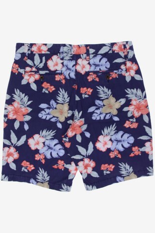 TOMMY HILFIGER Shorts 31 in Blau