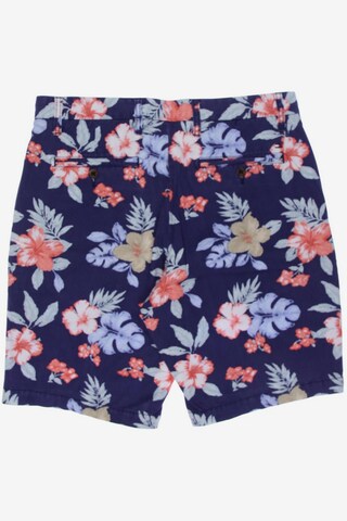 TOMMY HILFIGER Shorts in 31 in Blue