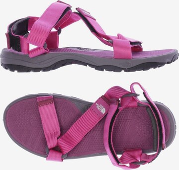 THE NORTH FACE Sandals & High-Heeled Sandals in 40,5 in Pink: front