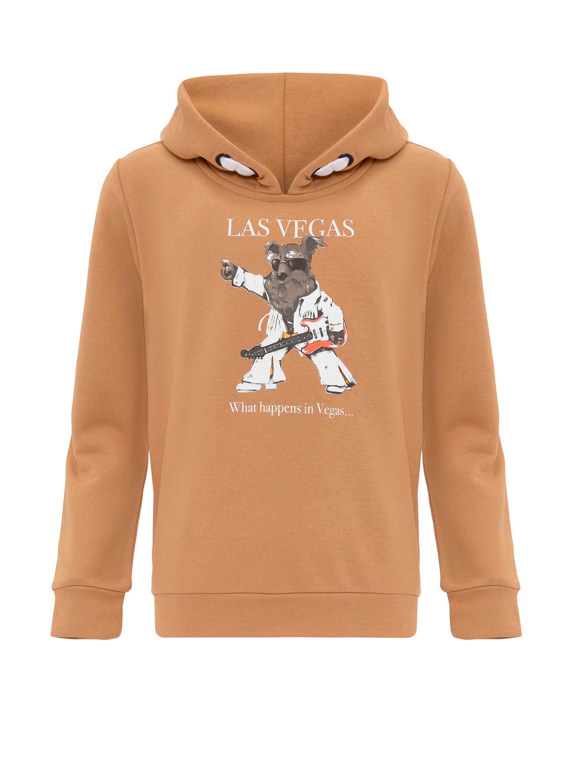 Williot Sweatshirt in Brown: front