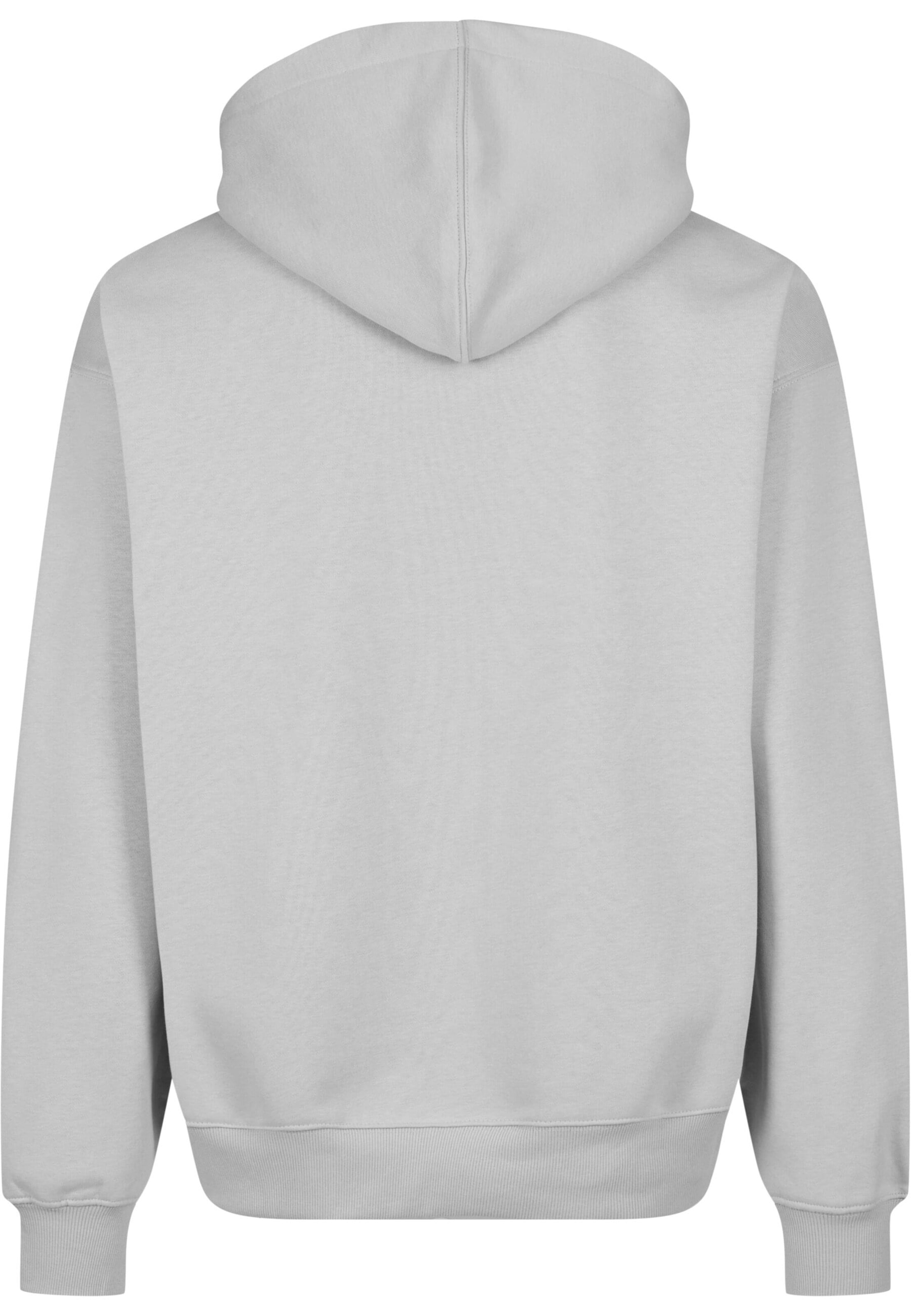 DEF Sweatshirt 'Souvenir' in Grey