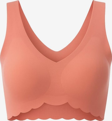 C&City Bustier BH in Rot: Vorderseite