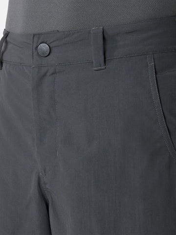 Regular Pantalon de sport 'Tanken' THE NORTH FACE en gris