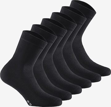 Calzino di Rohner Basic in nero: frontale