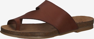 COSMOS COMFORT T-Bar Sandals in Brown: front