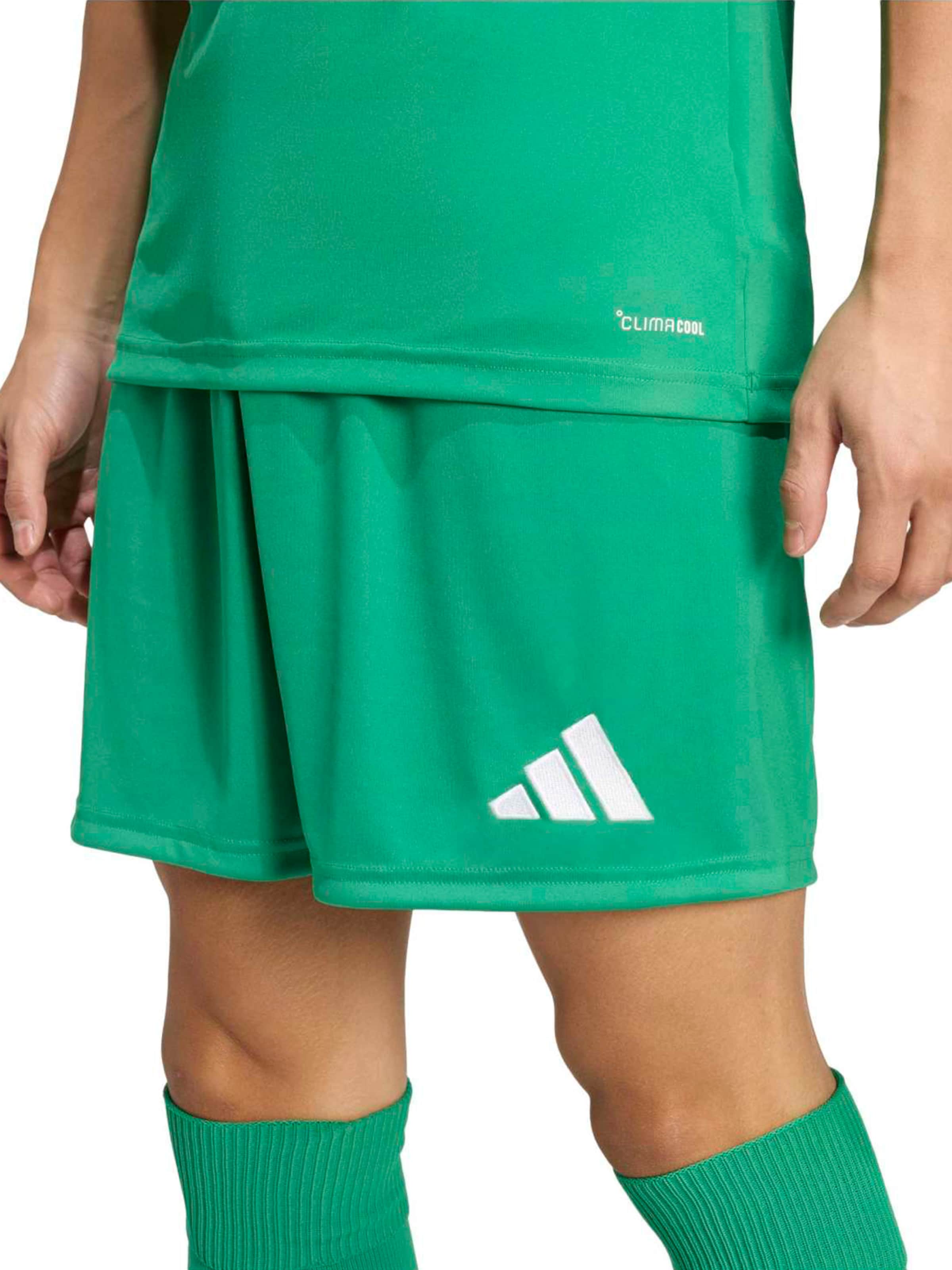 ADIDAS PERFORMANCE regular Παντελόνι φόρμας 'ENT26' σε πράσινο