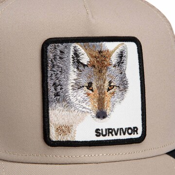 Cappello da baseball di GOORIN Bros. in beige