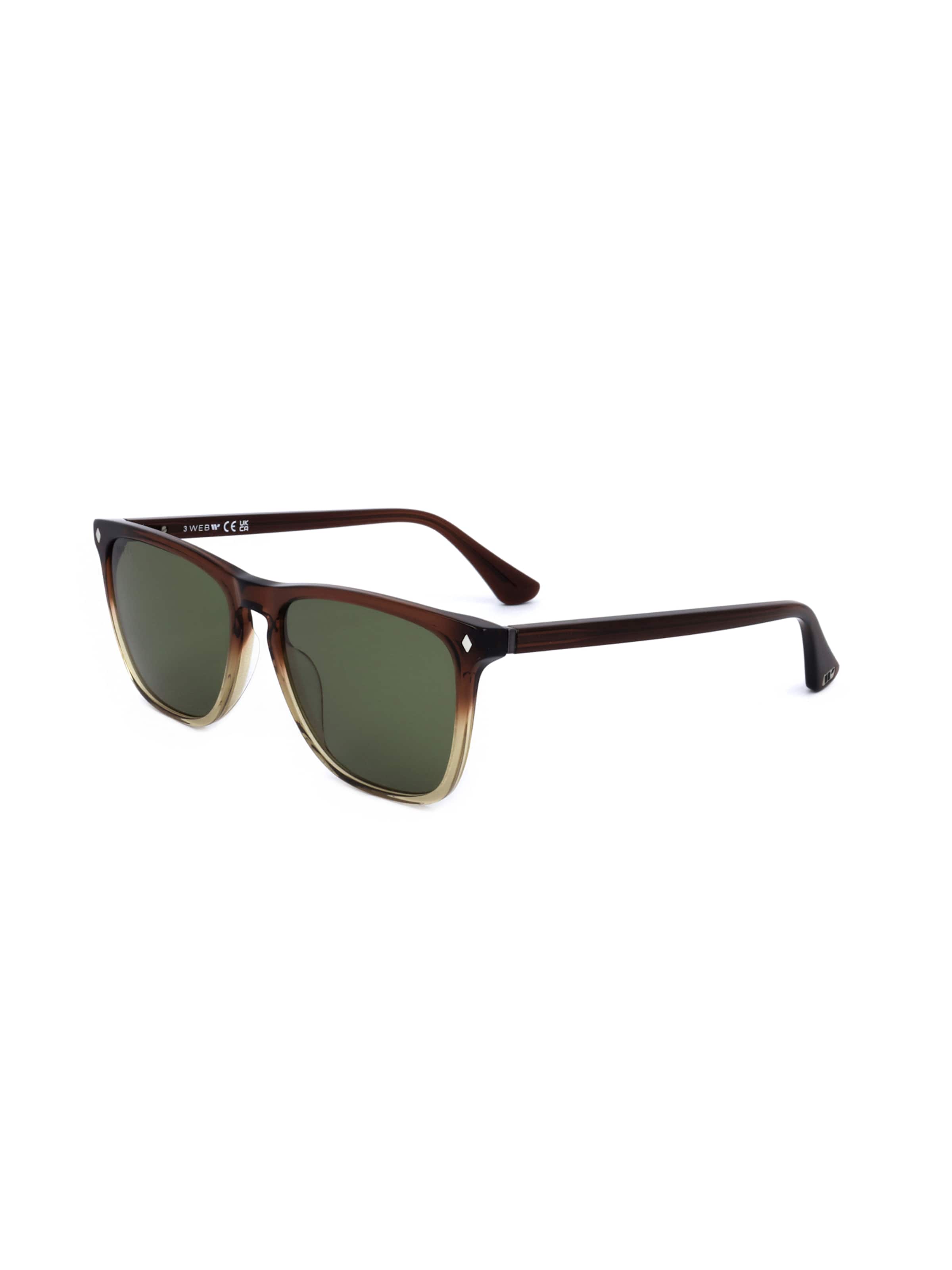 Occhiali da sole 'WE0363' di Web Eyewear in marrone: frontale