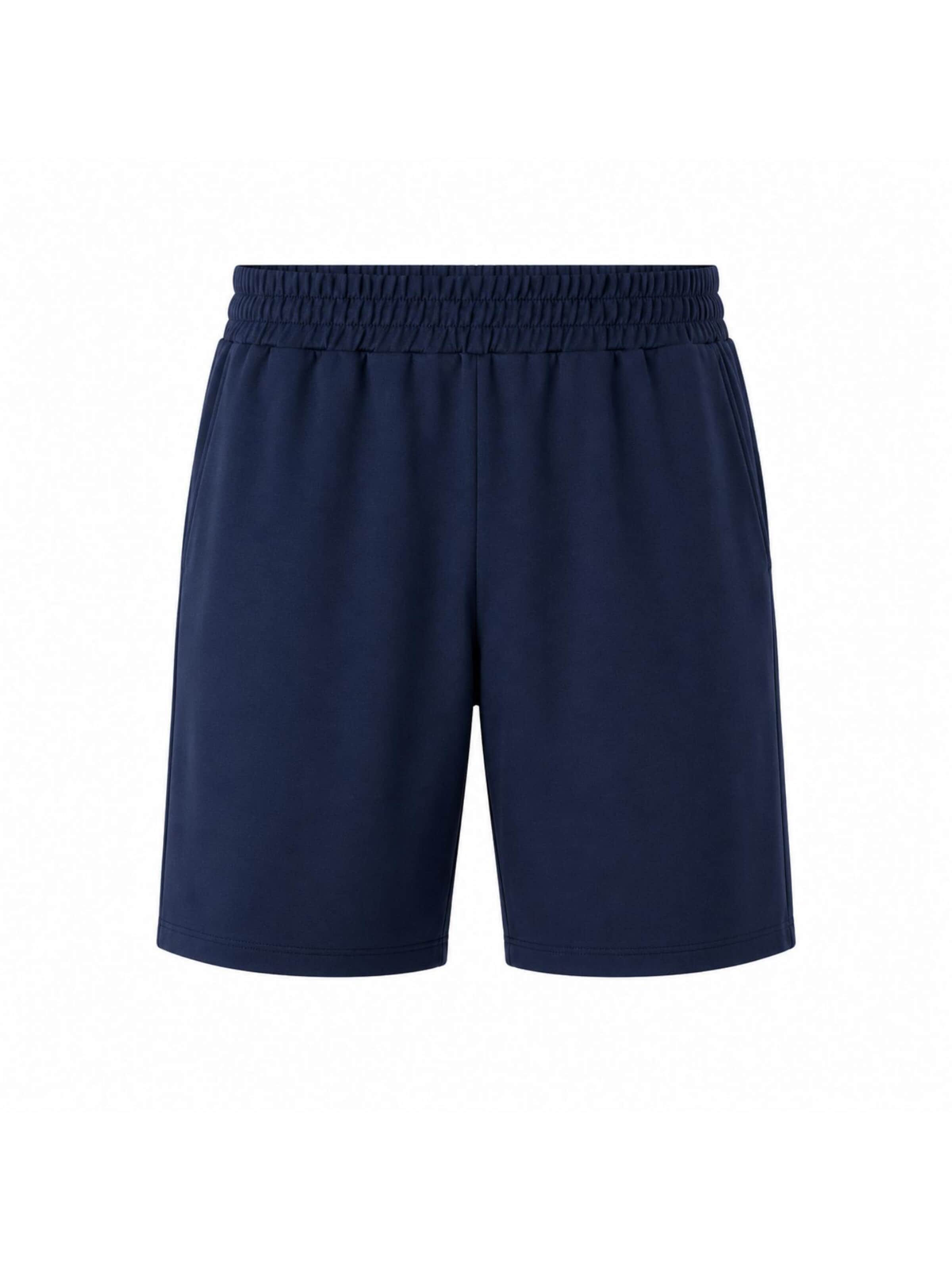 True North Regular Workout Pants in Blue: front
