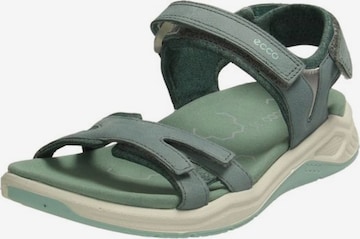 ECCO Sandals in Green: front