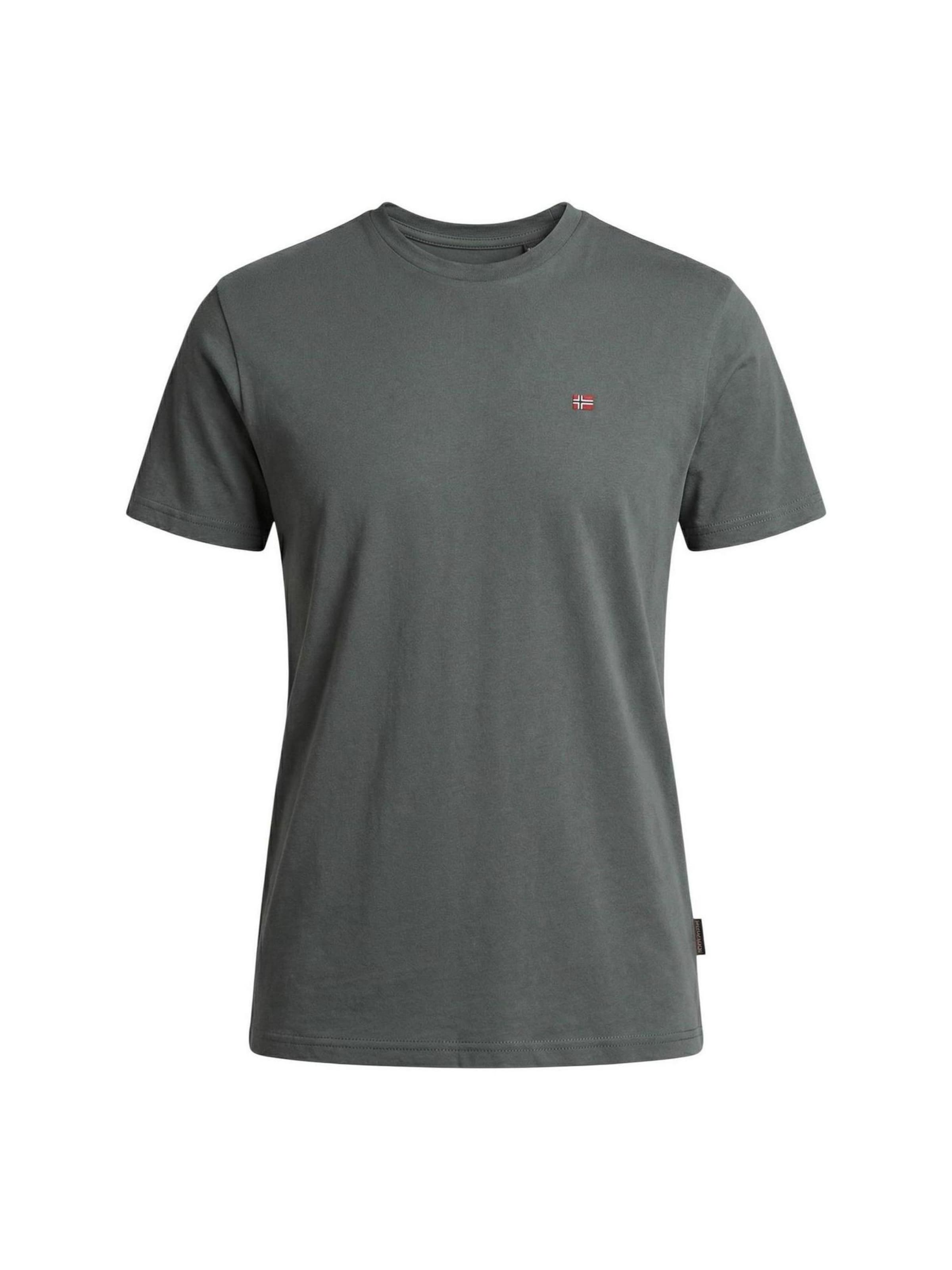 T-Shirt 'Salis' NAPAPIJRI en gris : devant