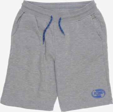 Petrol Industries Shorts in 33 in Grey: front