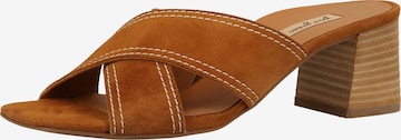 Paul Green Mules in Brown: front