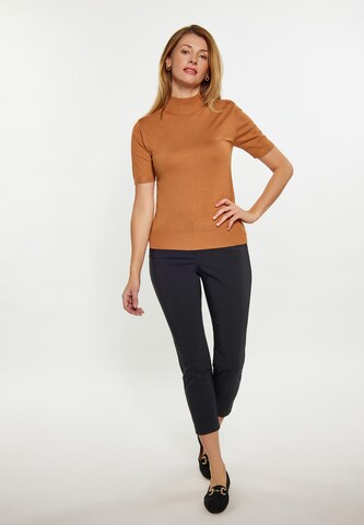 usha BLACK LABEL Sweater in Brown