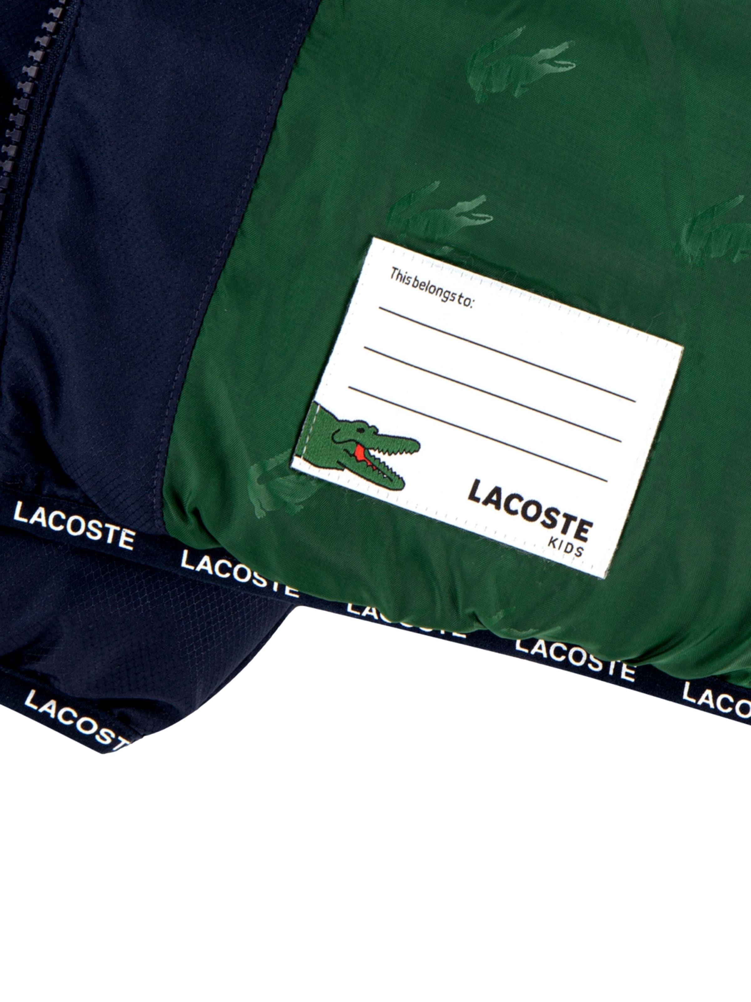 Giacca invernale di LACOSTE in blu