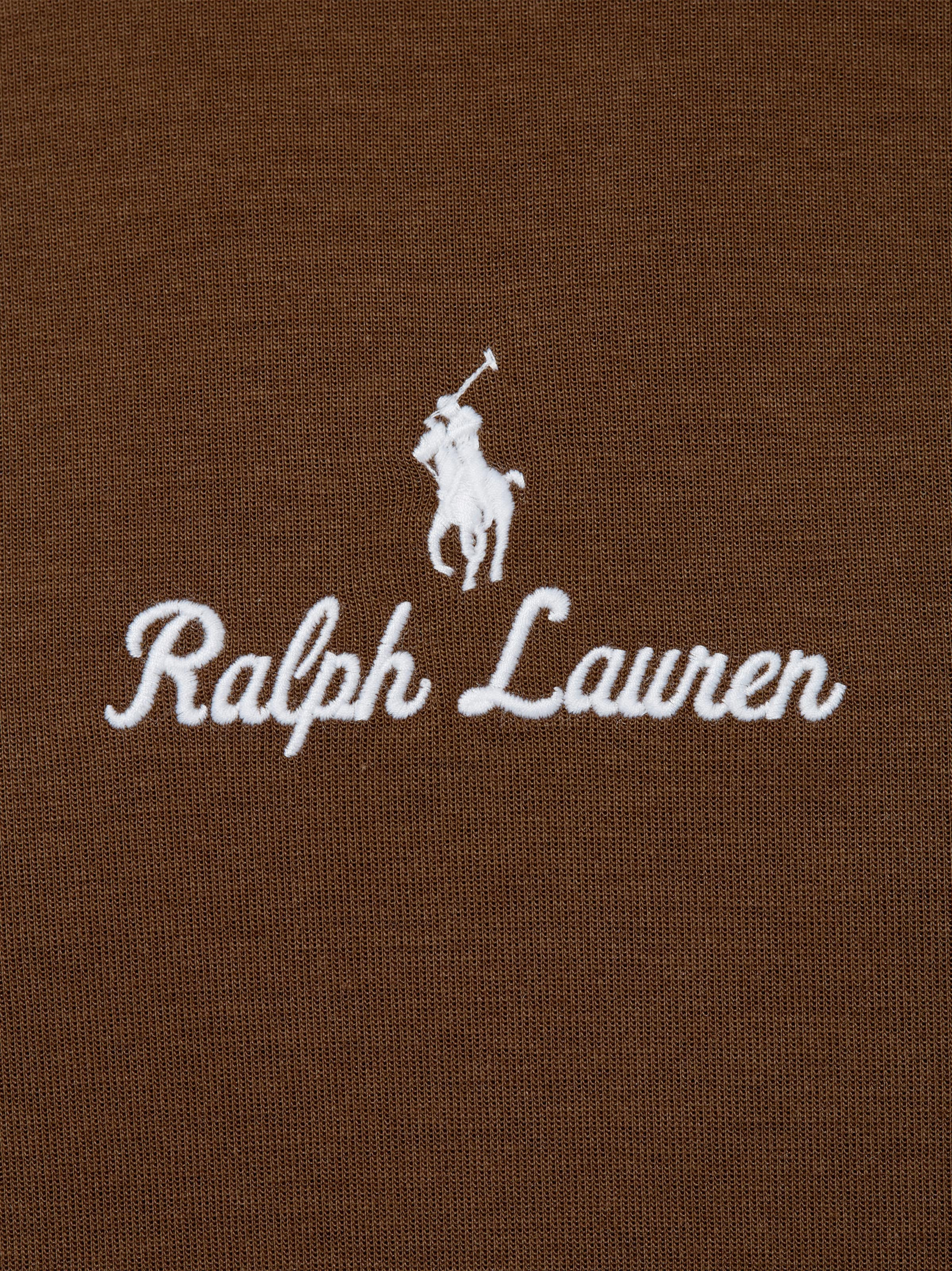 Polo Ralph Lauren Sweatshirt in Bruin