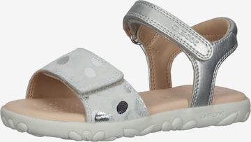 GEOX Sandals in Silver: front