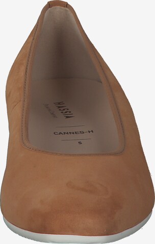 HASSIA Ballet Flats 'Cannes 302202' in Brown