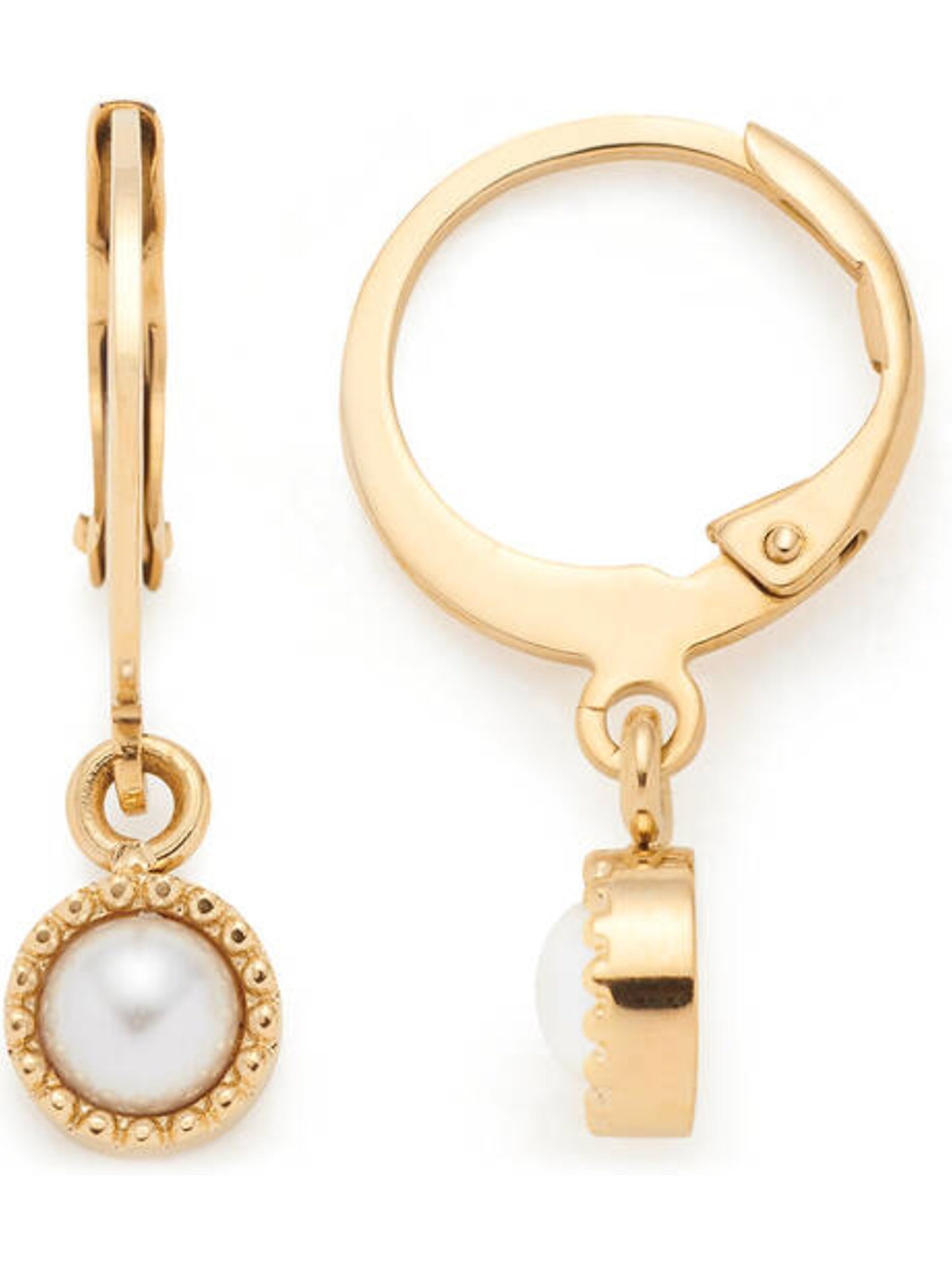 LEONARDO Ohrringe in Gold: Vorderseite