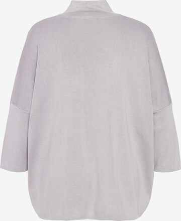 Ulla Popken Pullover in Grau